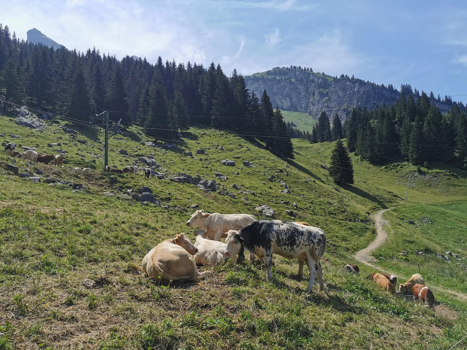 Savourez l'été à La Clusaz