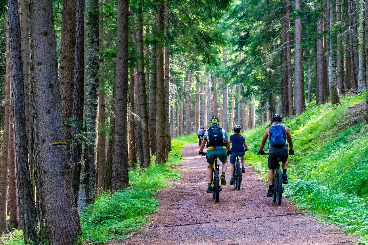 3 activités de VTT à pratiquer en montagne
